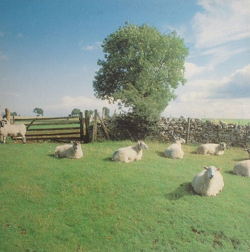 klf-chill out